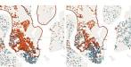 A Day at the Statehouse and a Night of Slaughter - The New York Times