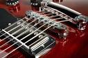 Gibson self tuning guitars Doobybrain