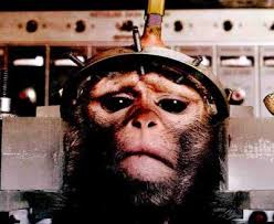 Vivisection : Air France - Promesse et odieux mensonge Images?q=tbn:ANd9GcQ3FX5PB6QafkhdrZwFl6Mu4V1EZlFqyo1BFf9qkMrdBqY3hMy9