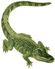 http://1.bp.blogspot.com/-nIKVm_z-nU8/TdSTBm2135I/AAAAAAAACI4/DzrZtqawz94/s1600/alligator.jpg