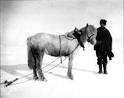 http://www.jamescairdsociety.com/pix/Crean%2520and%2520pony%2520Bones%2520just%2520before%2520400%2520mile%2520march.jpg