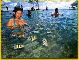 Porto Galinhas