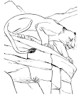Mountain Lion coloring page