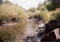 Logan River Trail