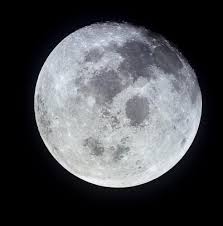 external image images?q=tbn:ANd9GcQ3o2gKVmmDCtdnY74PIYCoSaer7mYLtn0gsVP_LqvvJeWYFeeX