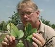 Brian Scully, director of UF's Indian River Research and Education Center in ... - Scully