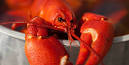 Cajun Crawfish Live LA Crawfish &amp; Cajun Food | LA Crawfish, Craw ...