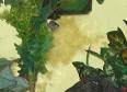 FAQs on Freshwater Diatom Algae and Their Control