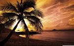 Tropical Beach Sunset Wallpaper #2619 Wallpaper | Wallapik.