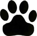 Hands 4 Paws 