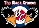 The Black Crowes Picture 2