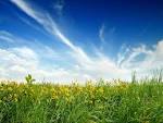  Landscape 55 - Landscape Photography Desktop Wallpapers