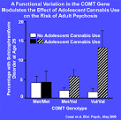 Comorbid Drug Abuse and Mental Illness | Topics in Brief ...