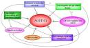 Aging research; molecular concepts of aging, related diseases and ...