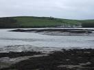 rich invertebrate fauna, - via Daymix