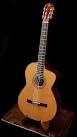 Handcrafted Lichty Cocobolo Crossover Guitar - Acoustic Guitar ...