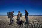 Service law enforcement - via Daymix