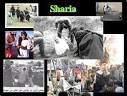 Ye Olde Journalist: Ban on SHARIA LAW proposed in Missouri