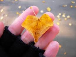 Bild_Liebe