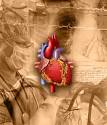 Heart Surgery Patient's Guide