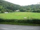 Horses in a paddock beside the - via Daymix