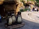 Akron Zoo - Akron - Reviews of Akron Zoo - TripAdvisor