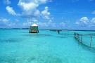 Antigua trip at the time of Carnival July 28-Aug 7 | nipunscorp