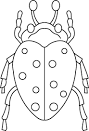 Insect coloring page