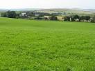 Clover field at Nunraw. Looking northwest towards Nunraw Barns. - via Daymix
