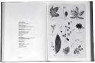 Emily Dickinson's Herbarium - Books - Review - New York Times