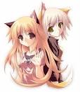 http://t1.gstatic.com/images?q=tbn:ANd9GcQ7Z5ge4F5BZf3ozOEBcbYAUD7KNDc8WCMrbvZw8Q7jYOD7MYop9LBIoYRR