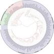 Evolutionary biology - Wikipedia, the free encyclopedia