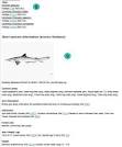 http://shark-references.com/images/meine_bilder/species2.jpg
