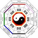 Traditional Chinese Medicine and Environmental Health
