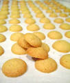 Mini Vanilla Wafer Cookies « Baking Bites