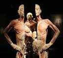 But I Have Dissected a Human Cadaver | Lisa Gandor