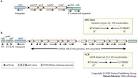 Figure 1 : Integrons: agents of bacterial evolution : Nature ...