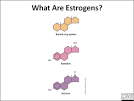 The natural <b>estrogens</b> produced