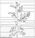 Label Flowering Plant Anatomy Glossary - EnchantedLearning.