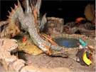 Mcfarlane Dragon Action Figures   Another Toy Review by Michael