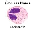 <b>Éosinophilie</b>