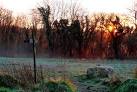 Here the early morning sun is just rising over the woods on the south side - via Daymix
