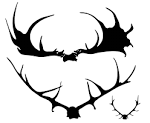 File:Megaloceros giganteus antler.svg - Wikimedia Commons
