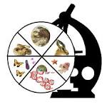 Zoology | Homework Help | Assignment Help | Biology