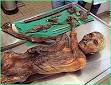 Otzi, the 5300 year old Iceman from the Alps