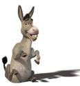 burro.jpg picture by onLyme_130 - Photobucket