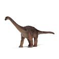 Everything Dinosaur » 2008 » February