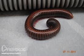 images?q=tbn:ANd9GcQARqHoE5ZT2_0exfvr8XbM9FFgJM98ZRJdbSTr0jqZSrI-DggC