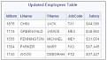 Updating Data in a PROC SQL Table :: SAS(R) 9.3 SQL Procedure