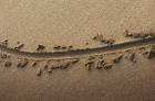 Drawing a Line in the Sand